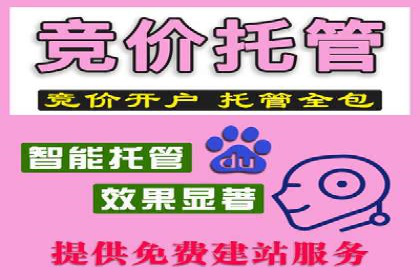 成功案例：专业SEM托管助力企业实现业绩倍增